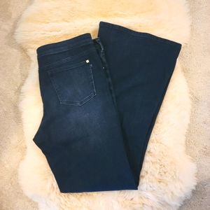 Anthropologie Pilcro Flare Jean's Sz 32